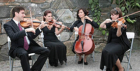 maestromusicians.com