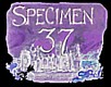 Specimen 37