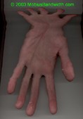 Scanned my hand. cool huh?
image copyright MobiusBandwidth.com